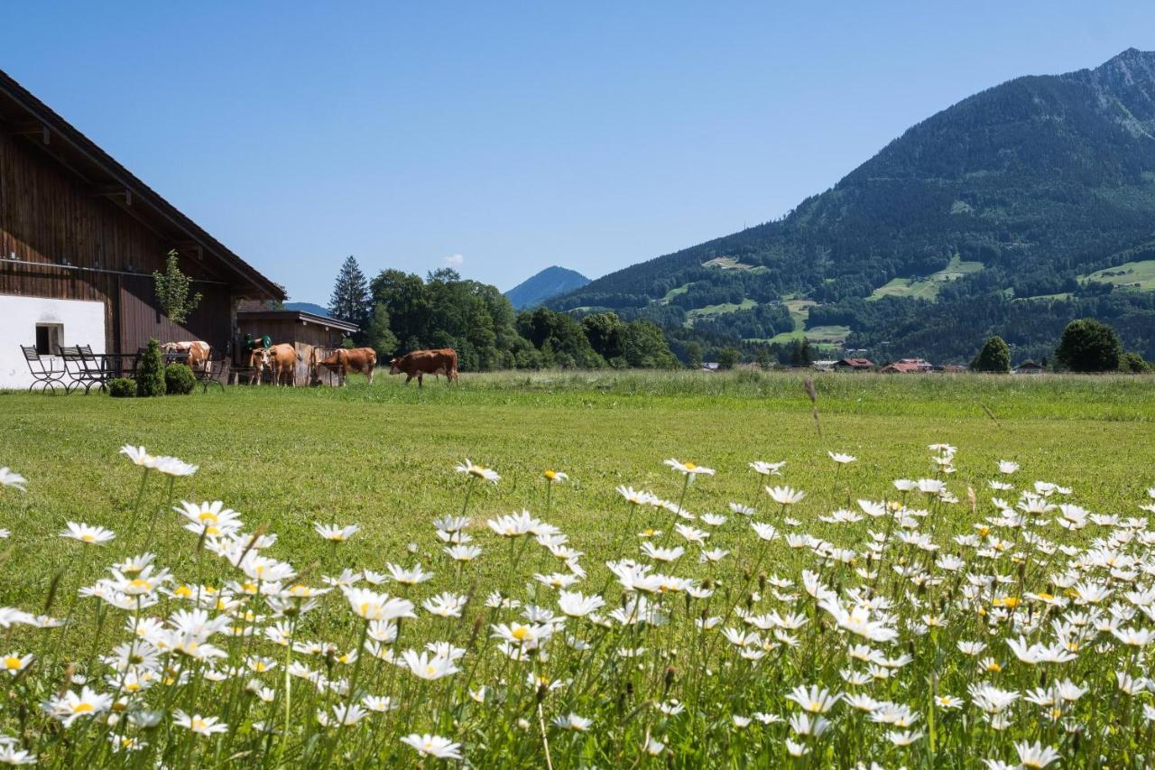 Ferienwohnung Drachllehen Schoenau am Koenigsee Ngoại thất bức ảnh